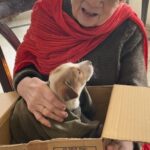 Abuela de 90 anos cocina para 120 perros al dia