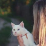 3 cosas que debes hacer bien cuando adoptas un gato
