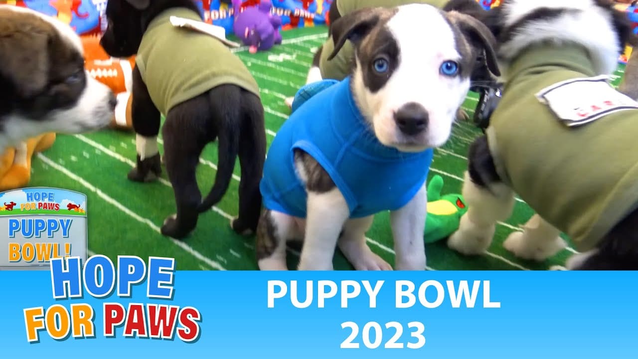 puppy bowl 2023 esperanza para l