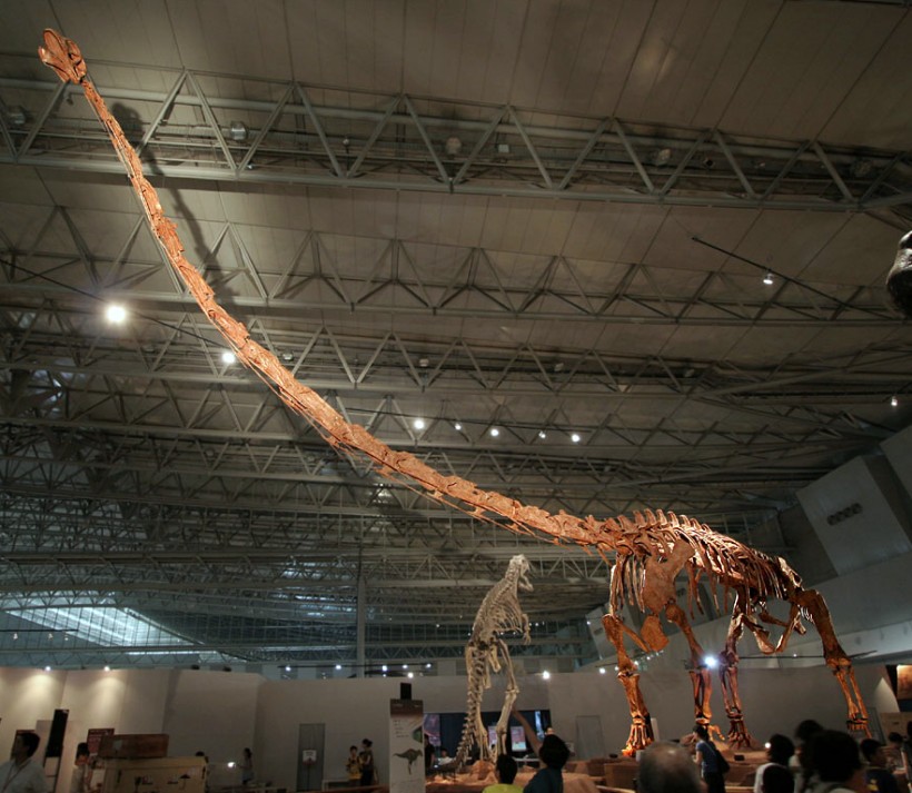 Fosil de 160 millones de anos sugiere que el sauropodo