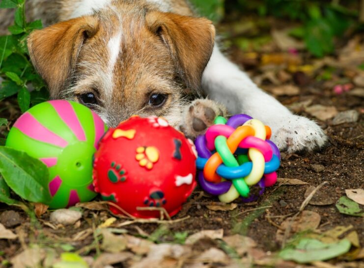 La versatilidad de los juguetes para perros y sus beneficios